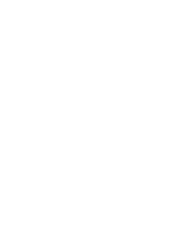 Logo NSF