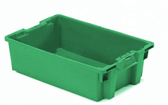 Image de Bac Grade Alimentaire 24" x 16" x 5.3", Vert