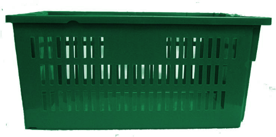 Image de Bac Ajouré Grade Alimentaire 24" x 16" x 7.1", Vert